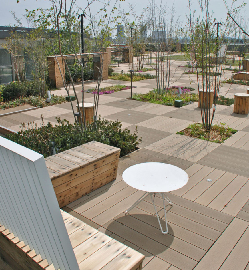 リズモ大泉学園 大泉学園駅北口地区第一種市街地再開発事業 Lizmo Oizumigakuen, Oizumigakuen